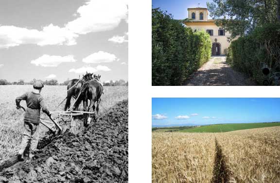 Azienda Agricola Sensi contadino