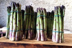 azienda-sensi-asparagi