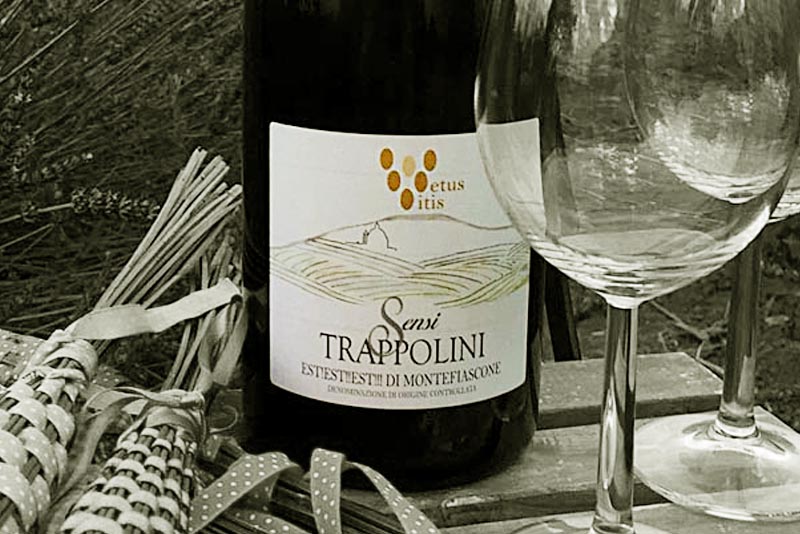 azienda-sensi-vino-trappolini